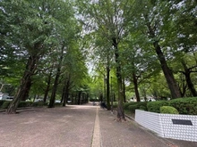 【東京都/練馬区平和台】氷川台ヒルズ 城北中央公園（現地より約700m）