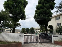 【東京都/練馬区平和台】氷川台ヒルズ 仲町小学校（現地より約300m）