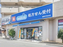 【東京都/練馬区北町】プラウド平和台ガーデン ウエルシア 練馬平和台店（現地より約400m）：