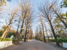 【東京都/練馬区羽沢】ウイングストリーム氷川台コート 城北中央公園けやき公園（現地より約1,180m）：