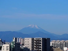 【東京都/練馬区練馬】パークホームズ練馬豊島園ステーションプレミア 眺望：ズーム有
