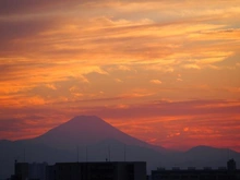 【東京都/練馬区練馬】パークホームズ練馬豊島園ステーションプレミア 眺望：ズーム有