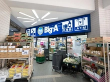 【東京都/練馬区田柄】ダイアパレス光が丘弐番館 ビッグ・エー光が丘駅南店（現地より約980m）