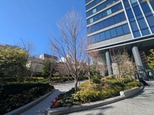 【東京都/渋谷区宇田川町】ラ・トゥール渋谷宇田川 アプローチ