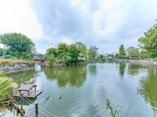 【東京都/目黒区柿の木坂】ライオンズマンション柿の木坂 碑文谷公園.（現地より約520m）