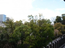 【東京都/港区三田】秀和三田綱町レジデンス 眺望