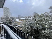 【東京都/港区三田】秀和三田綱町レジデンス 眺望