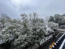 【東京都/港区三田】秀和三田綱町レジデンス 眺望