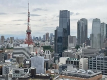 【東京都/港区東新橋】東京ツインパークス ライトウィング 眺望：ズームあり