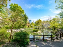 【東京都/渋谷区松濤】ドゥアージュコラッド松濤 綱島松濤公園（現地より約300m）