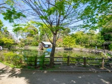【東京都/渋谷区松濤】ドゥアージュコラッド松濤 綱島松濤公園（現地より約300m）
