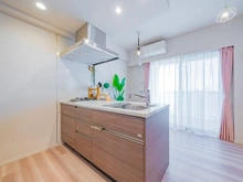 【神奈川県/川崎市中原区上丸子八幡町】ルジェンテ新丸子 LDK