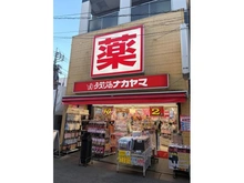 【神奈川県/川崎市中原区上丸子八幡町】ルジェンテ新丸子 クスリのナカヤマ新丸子駅前店（現地より約500m）