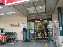 【東京都/港区白金】ローレルアイ白金 ピーコックストア 高輪魚籃坂店（現地より約550m）