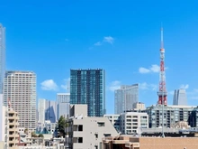 【東京都/港区三田】ディアクオーレ白金高輪 眺望：ズームあり