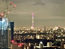 【東京都/豊島区南池袋】グランドミレーニア 眺望：ズームあり