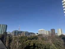 【東京都/港区三田】アイビハイツ三田 眺望