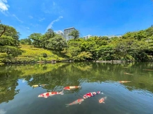 【東京都/港区高輪】アルス高輪フェアヒルズ 八芳園（現地より約700m）