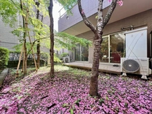 【東京都/港区白金】アルカンシエール白金 専用庭