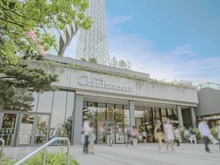 【東京都/墨田区向島】向島パークハイツ第2 東京スカイツリータウン ソラマチ（現地より約620m）
