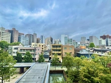 【東京都/豊島区高田】ブリリアシティ西早稲田 眺望