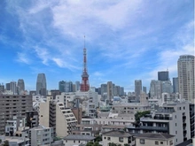【東京都/港区元麻布】ゾンネンハイム元麻布 眺望：ズームあり