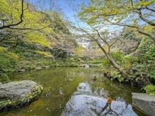 【東京都/品川区西五反田】シティタワー目黒 池田山公園（現地より約1,100m）：