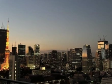 【東京都/港区芝】クレストプライムタワー芝 眺望