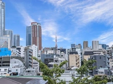 【東京都/港区西麻布】麻布霞町パーク・マンション 眺望：ズームあり