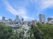 【東京都/港区西麻布】麻布霞町パーク・マンション 眺望：ズームなし
