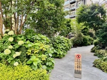 【東京都/新宿区山吹町】プレミスト山吹神楽坂 敷地内