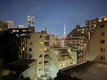 【東京都/港区元麻布】ウィスタリア元麻布 眺望