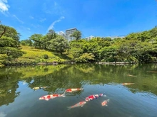 【東京都/港区白金】ザ・パークハウス白金 八芳園（現地より約820m）