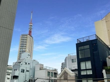 【東京都/港区東麻布】ライオンズプラザ東麻布 眺望：南東側バルコニーより