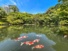 【東京都/港区白金】グランドメゾン白金三光坂 八芳園（現地より約840m）