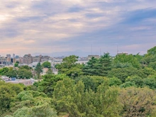 【東京都/渋谷区松濤】モデルノトッレ松濤 眺望