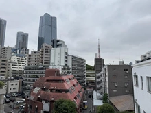 【東京都/港区六本木】フォレストテラス鳥居坂 眺望