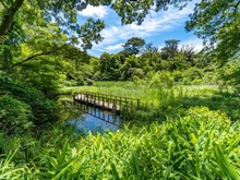 【東京都/港区白金台】クレール白金台 国立科学博物館付属　自然教育園（現地より約260m）：
