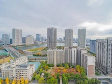 【東京都/中央区晴海】晴海アイランドトリトンスクエアビュータワー 眺望