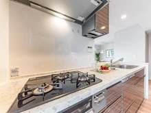 【神奈川県/川崎市中原区丸子通】ジオ新丸子 キッチン：浄水器、食洗器、ディスポーザー付き