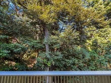 【東京都/港区高輪】クラッシィハウス高輪 眺望：洋室から