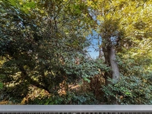 【東京都/港区高輪】クラッシィハウス高輪 眺望：洋室から