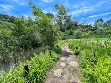 【東京都/港区高輪】クラッシィハウス高輪 国立科学博物館附属 自然教育園（現地より約1,610m）