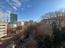 【東京都/港区三田】秀和第2三田綱町レジデンス 眺望：バルコニーから