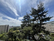 【東京都/世田谷区南烏山】芦花公園プレスティージュ 眺望