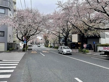 【東京都/中野区松が丘】ライオンズマンション中野哲学堂公園 中野通り（現地より約10m）