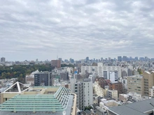 【東京都/新宿区西早稲田】西早稲田パークタワー 眺望：バルコニーからスカイツリー、墨田川の花火を望める(季節・天候による)（ズームあり）