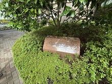 【東京都/新宿区西早稲田】西早稲田パークタワー マンション表札