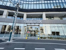 【神奈川県/川崎市多摩区枡形】ドメスセレーナ向ヶ丘遊園II Odakyu OX 向ケ丘遊園店（現地より約650m）