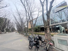 【東京都/世田谷区桜】レジデンスコート馬事公苑 馬事公苑前緑地（現地より約110m）